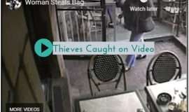 Purse Theft Videos