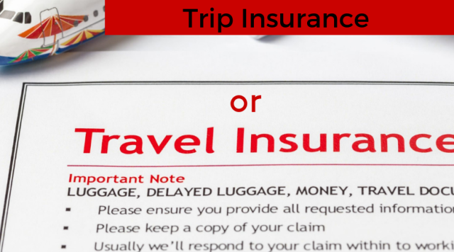 Trip or Travel Insurance for lost luggage
